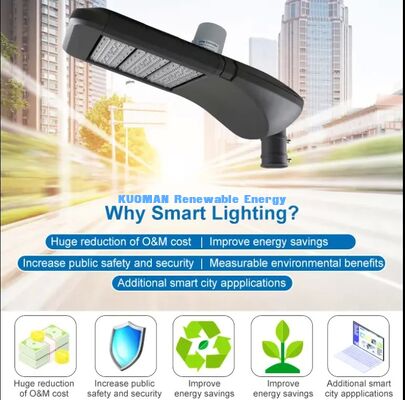 Las instalaciones de iluminación de calle LED inteligentes de serie múltiple, control de IoT LoRa, iluminación municipal personalizable
