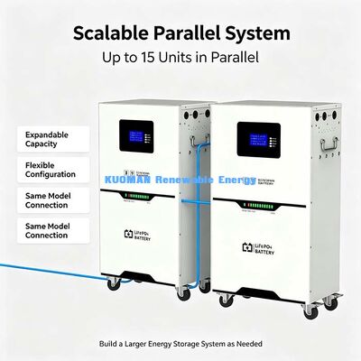 51.2V 100Ah Batería de almacenamiento solar LiFePO4, carga/descarga continua de hasta 100A