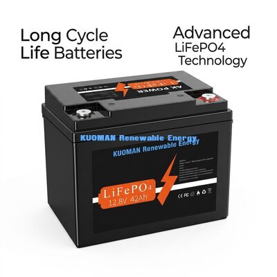 Batería de Litio 537.6Wh 12V 40Ah Ciclo Profundo LiFePO4 para Almacenamiento de Energía y Carrito de Golf