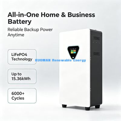 Batería LiFePO4 recargable de 25.6V 100Ah con 6000 ciclos gabinete de almacenamiento de energía solar con control remoto APP