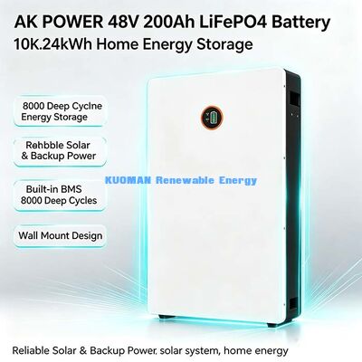 Batería de pared LiFePO4 de ciclo profundo 8000 51.2V 200Ah con BMS inteligente para respaldo de energía solar en el hogar, garantía de 10 años