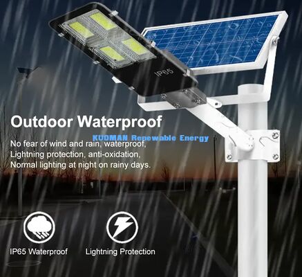 Wind Rain Snow Resistant IP65 Solar Street Light Harsh Climate Outdoor Lamp